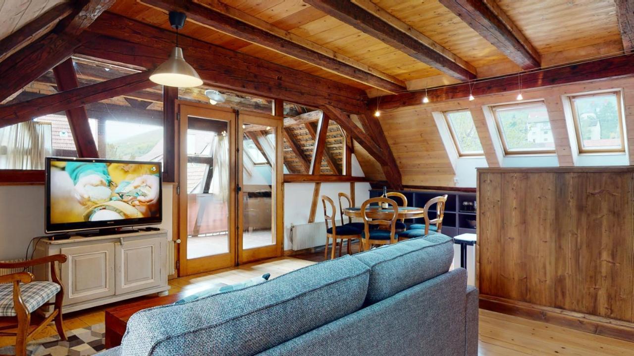 Les Appartements Manala - Turckheim Esterno foto