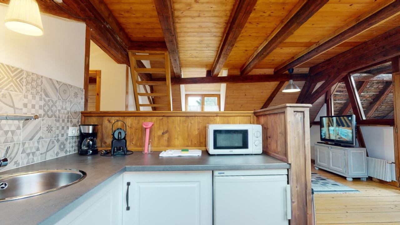 Les Appartements Manala - Turckheim Esterno foto