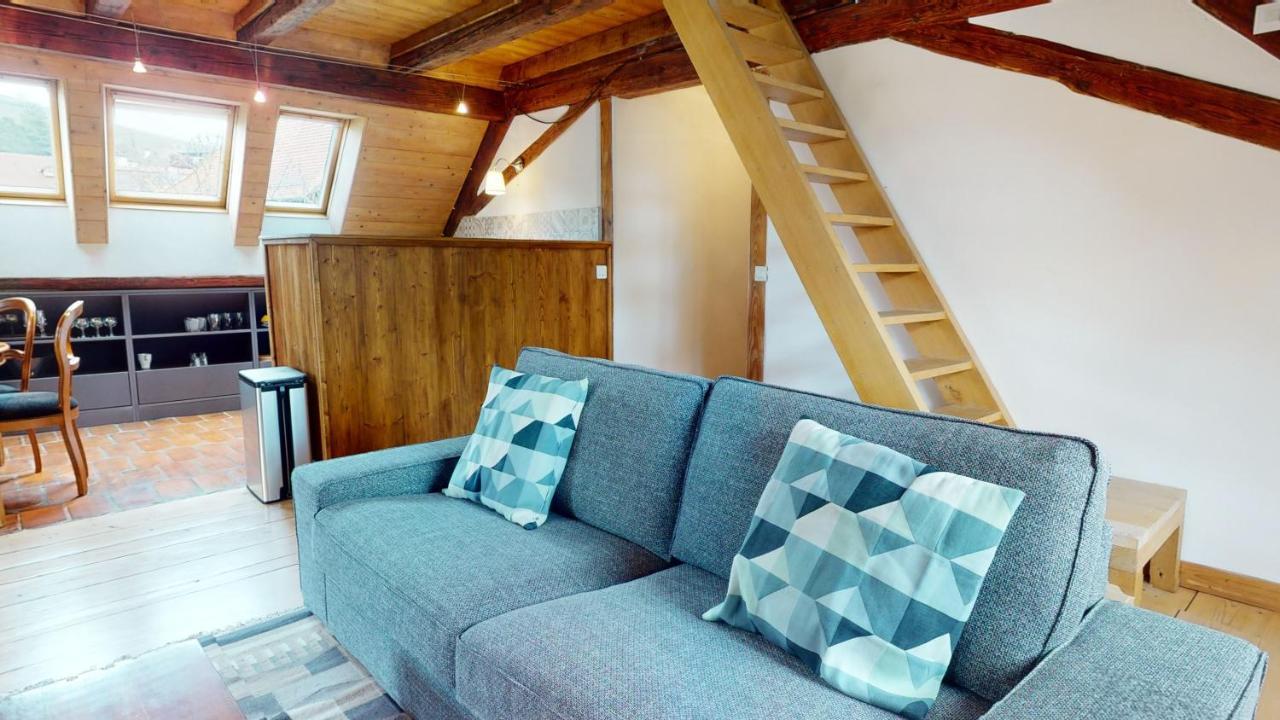Les Appartements Manala - Turckheim Esterno foto