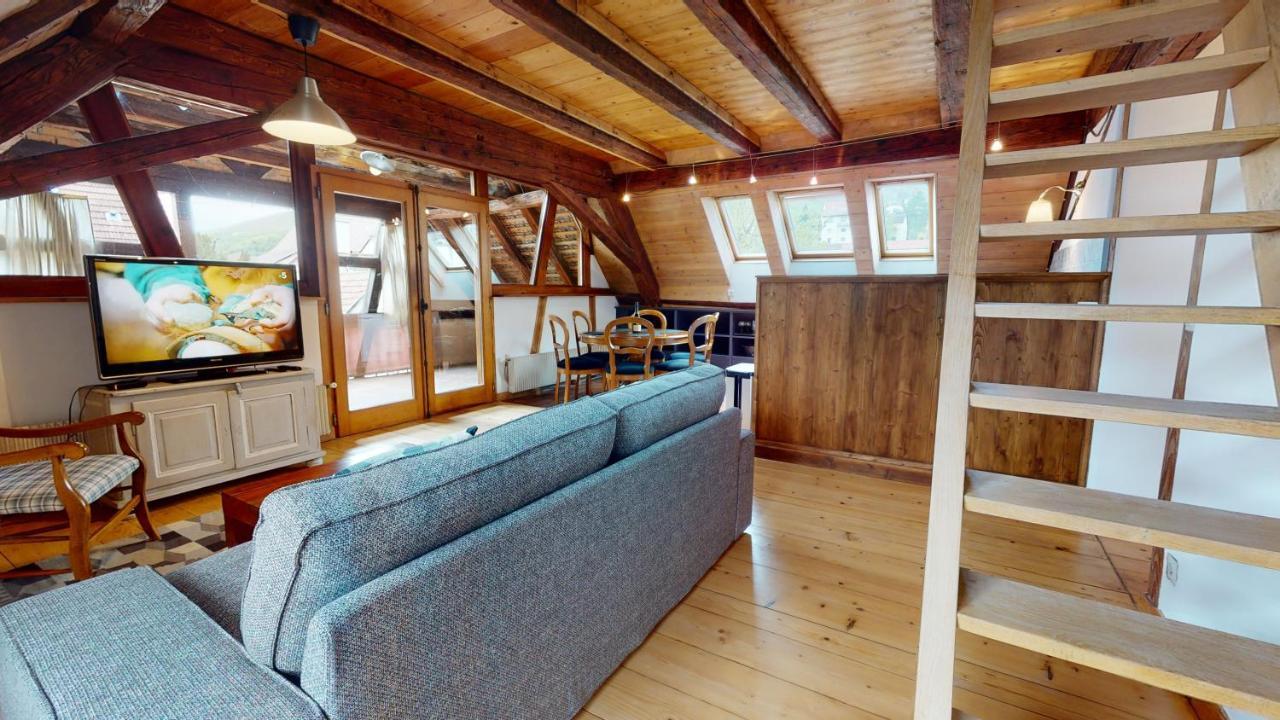 Les Appartements Manala - Turckheim Esterno foto
