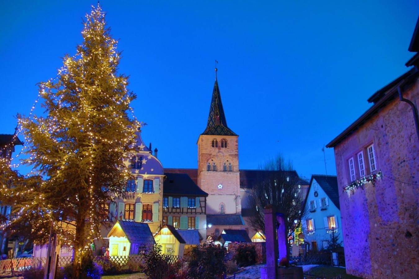 Les Appartements Manala - Turckheim Esterno foto