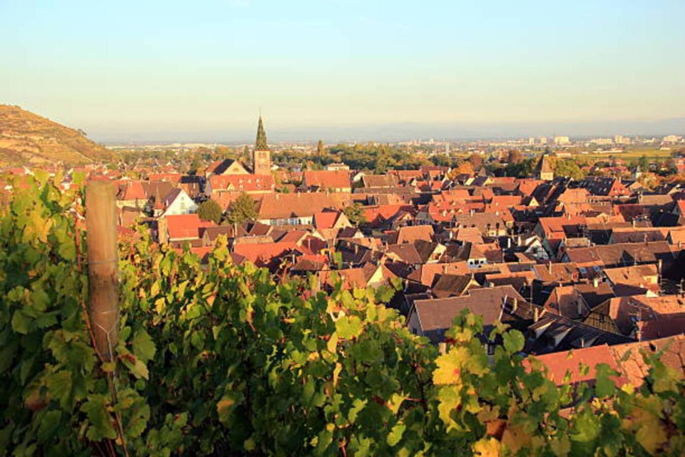 Les Appartements Manala - Turckheim Esterno foto